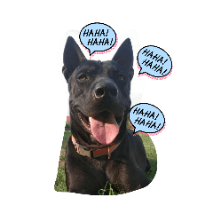 ma_tew_20260420064823