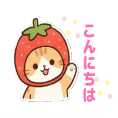 Cat - Strawberry & Apple
