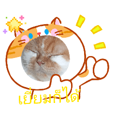 ava darunporn_20260420084249