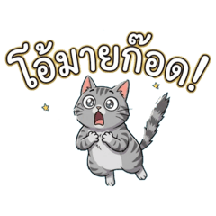 Waraporn_20260420105207