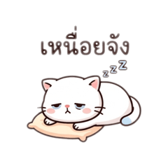 pinky_20260420112048