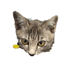 Dummy..Lover_20260420115753