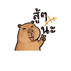 Nong Zee_20260420121857