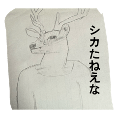 Kome/()_20260416220445