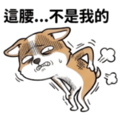 ★社畜科基★ 這腰不是我的