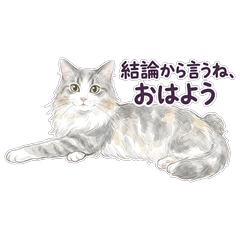 Chappy Norwegian Cat Chat Stickers