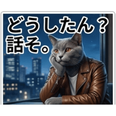 Handsome Gray Cat: Romantic & Daily