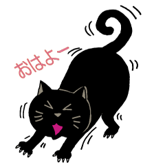A black cat's Kotatsu