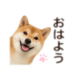 mkpon_20260420150845