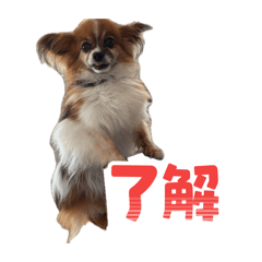 Yuto_20260419211529