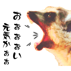 bibi&moca_20260416220953