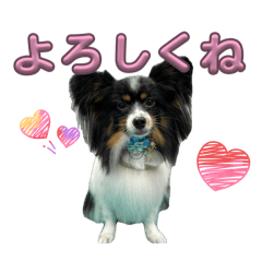 Hunkorogashi_20260419222303