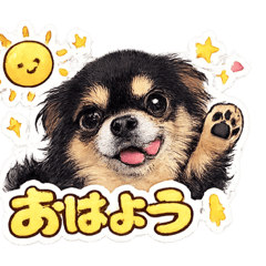 Hachi_20260419222351