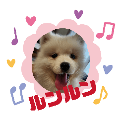 ronrin_20260419231247