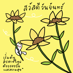 Happy Monday! Wishing you joy