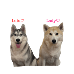 lady_20260419233516