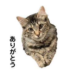 yu._.mi_20260419232210