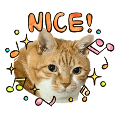 Maron_20260419233601