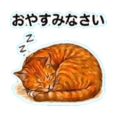 gamamaru_20260419234014