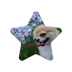 Hiromu_20260419233555