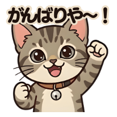 Latte Nyanko: Osaka Vol.1
