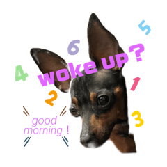 emily_20260419223249