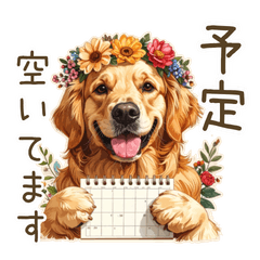 GoldenRetriever & FlowerCrown Daily Use