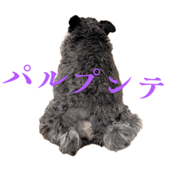 mayu_20260417071632