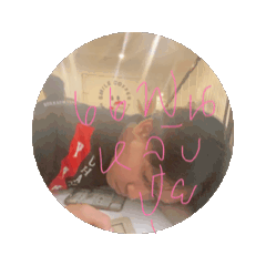 Meoww_20260420155649