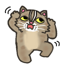 Batanyan of Tsushima cat (move)