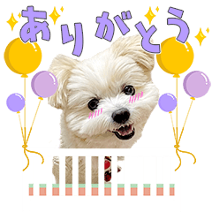 Moko-chan's greeting