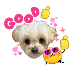 r.y05090924_20260420095800