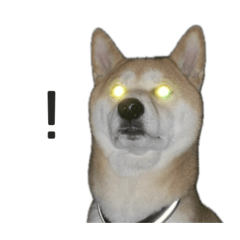 YU_8016_20260420100928