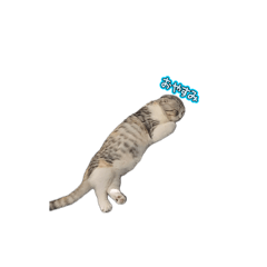 JAPAN_20260420094111