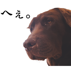 mountain_20260420100941