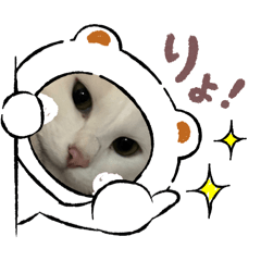 ojineko_20260420105524