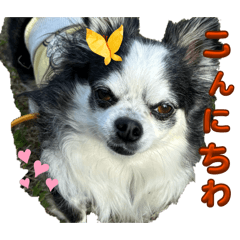 rea_20260420160530