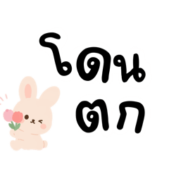 Rabbit secretly loves