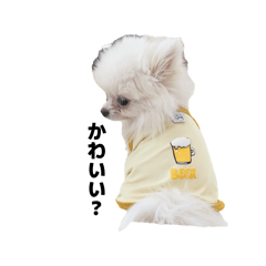 mochi_20260420213328