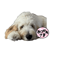 toy  one_20260420213511