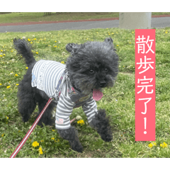 ningen_20260420213424