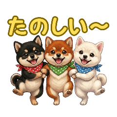 Shiba Trio - Glad I Have This