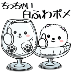 飛び出す！ちっちゃい白ふわポメ
