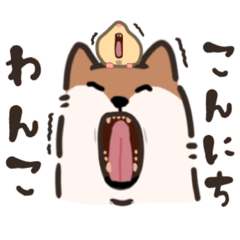 SIBAtoHAMUnonichijosutanpu