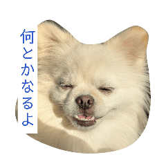 utinoko no mama_20260420165311