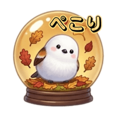 chocotto_20260420160108