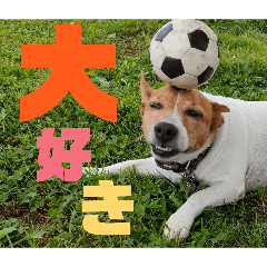 etu pirka_20260420171256