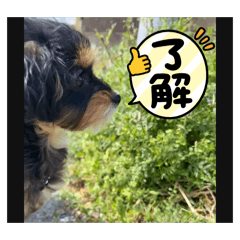 ararakko_20260420171028