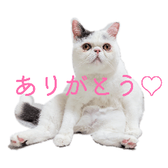 mochio_20260420171552