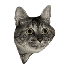 yoshi_20260420204326